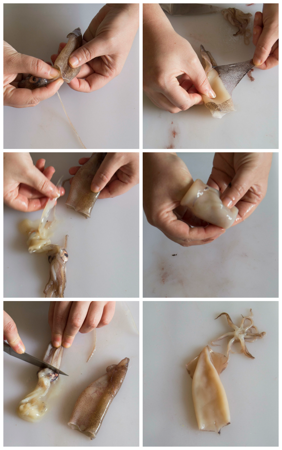 Cómo limpiar calamares pequeños